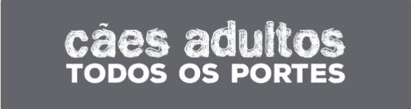 caes adultos todos os portes